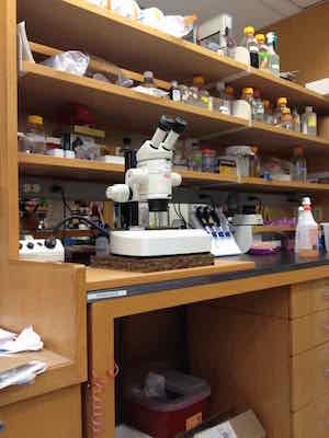 scientific tool photo